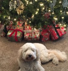 Izzy Knocks Out Night Terrors